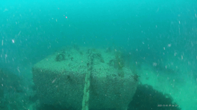 海底施設ドローン点検動画